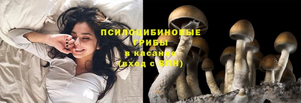 дурь Абаза