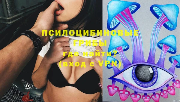 дурь Абаза