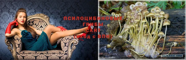 крисы Абдулино