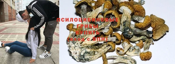 каннабис Абинск